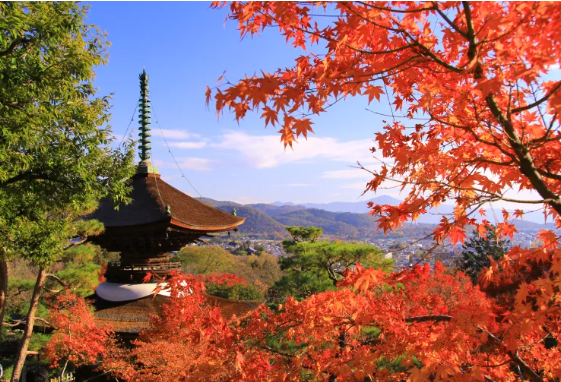 京都 嵯峨野與嵐山 京都貴族遊樂場上的竹和禪之美